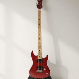 Escoba-Guitarra